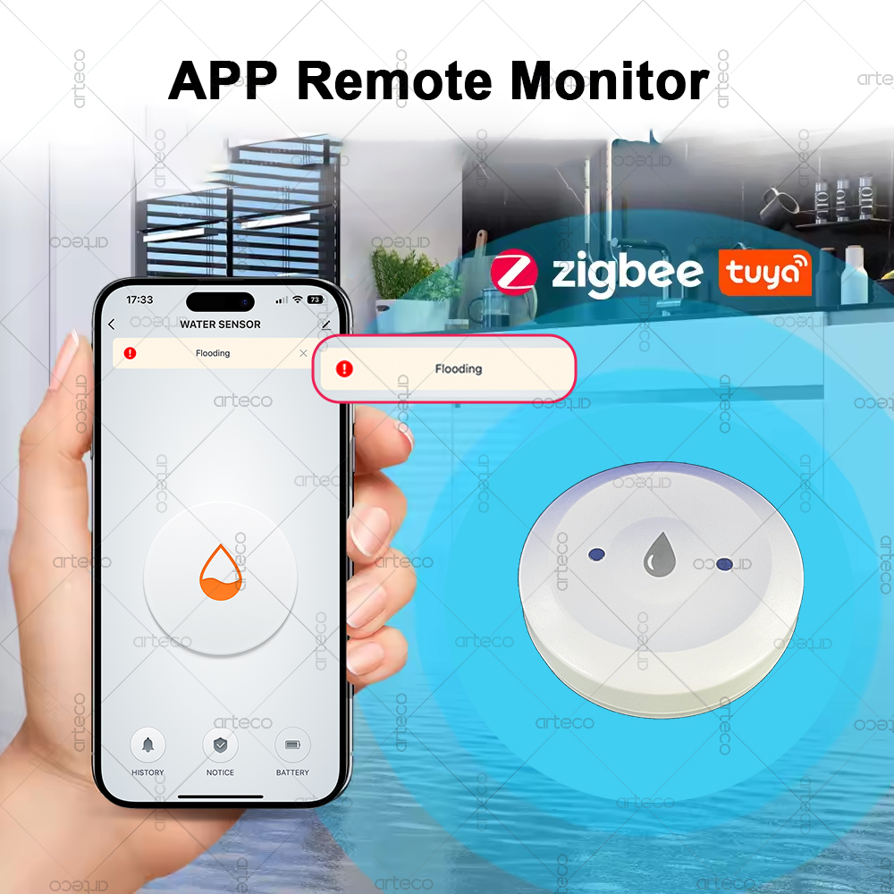 Tuya الذكية زيجبي المياه الاست - مراجعة Smart Home Website وسعره