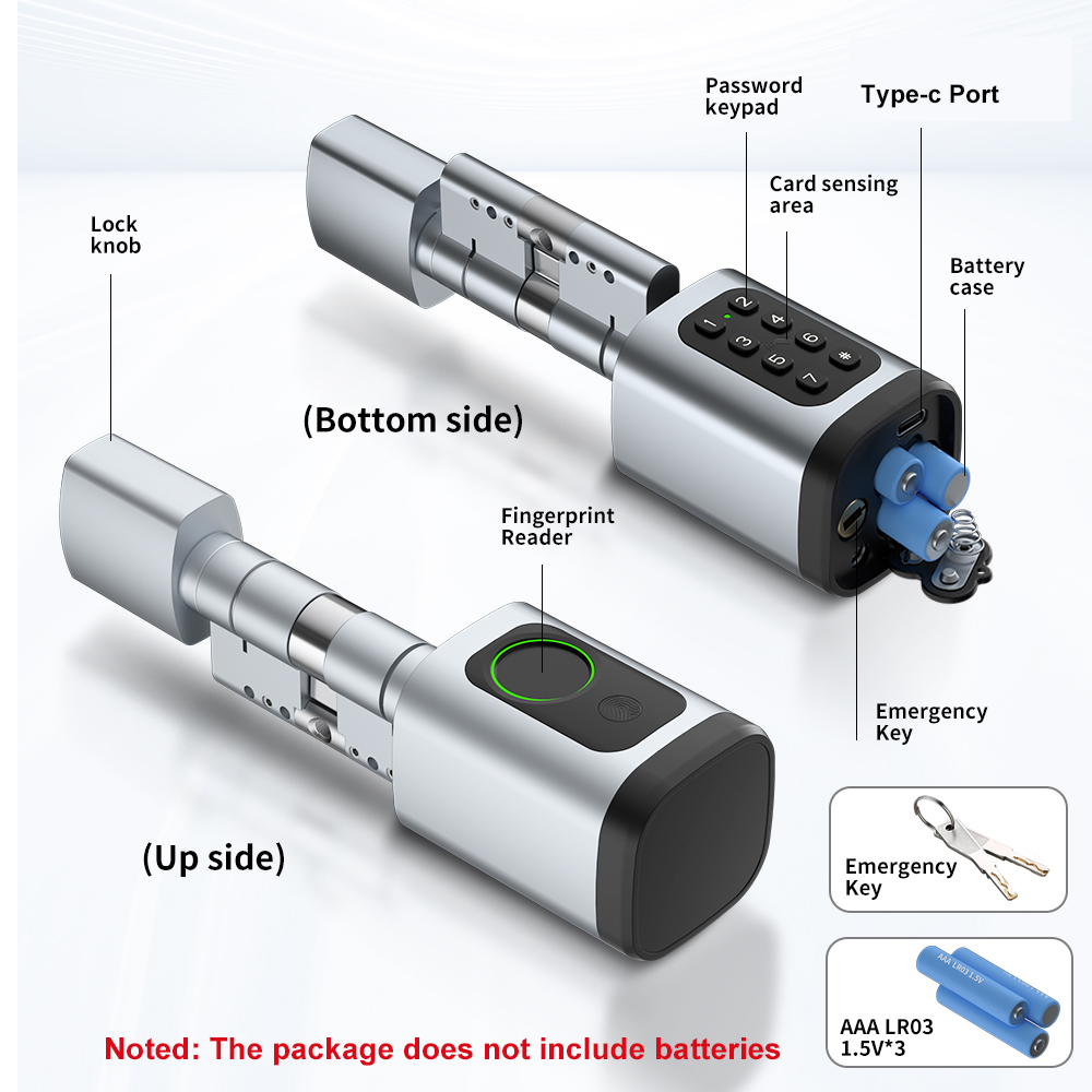 RAYKUBE V1 Tuya BLE TT قفل قفل - مراجعة Smart Home Technology وسعره