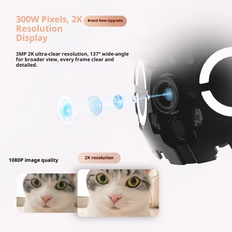 Enabot ROLA روبوت ذكي صغير كام - مراجعة Smart Home Video وسعره